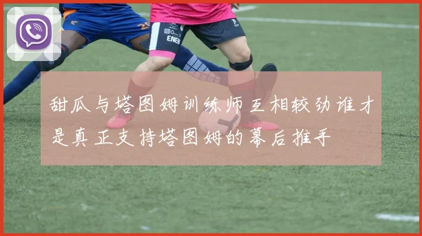甜瓜与塔图姆训练师互相较劲谁才是真正支持塔图姆的幕后推手